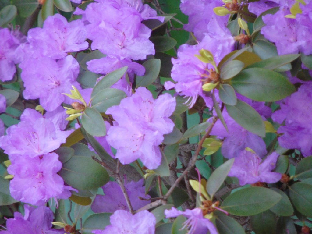 God Calling By "Two Listeners" Hardback Book The Fast Free - Foto 4