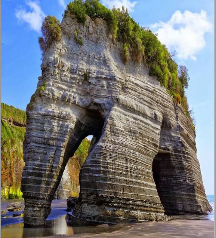 m_elephantrock_newzealand