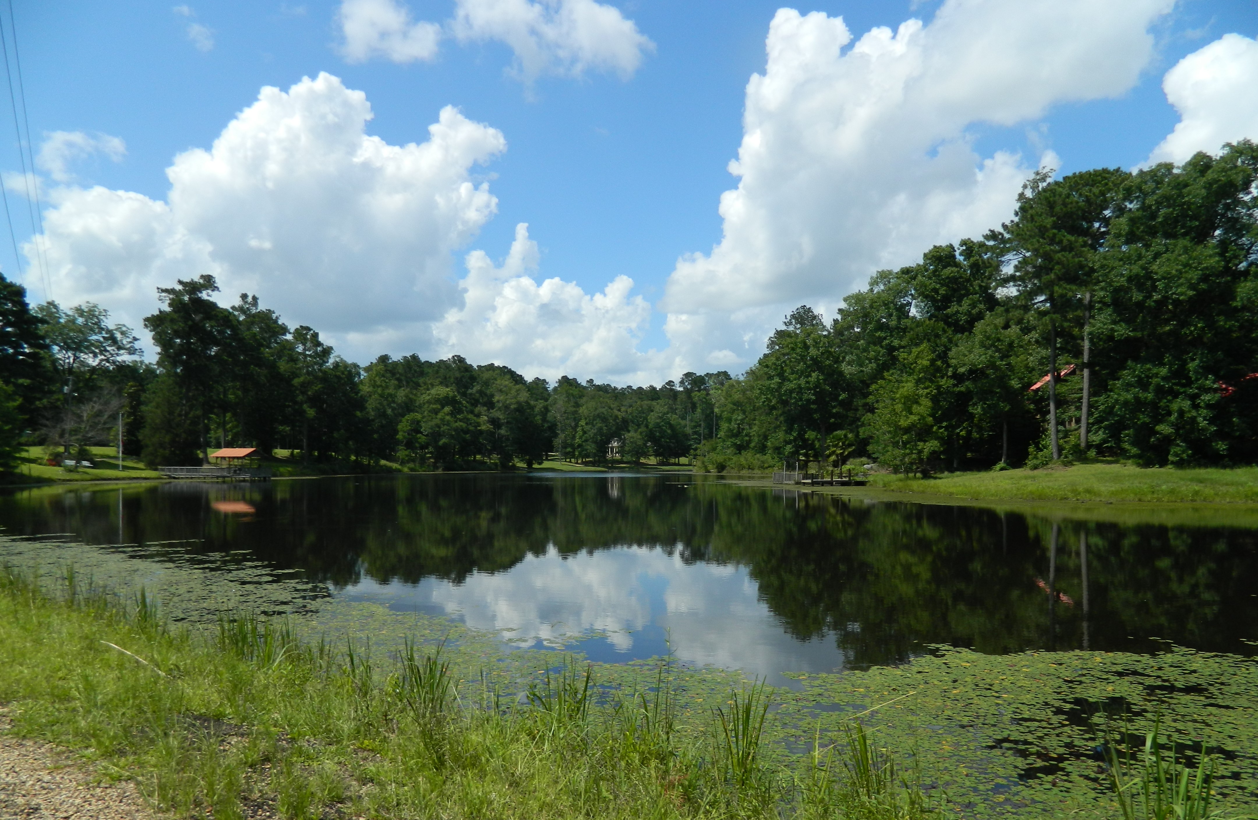 Brookhaven5